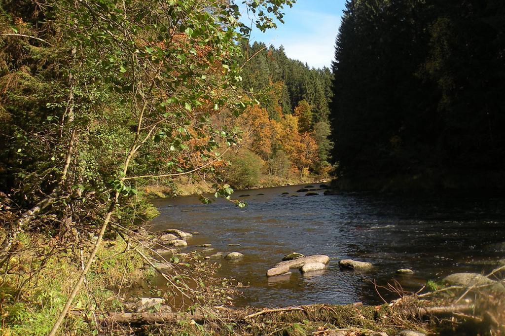 Ferienwohnung Voelkl Bobrach Bagian luar foto